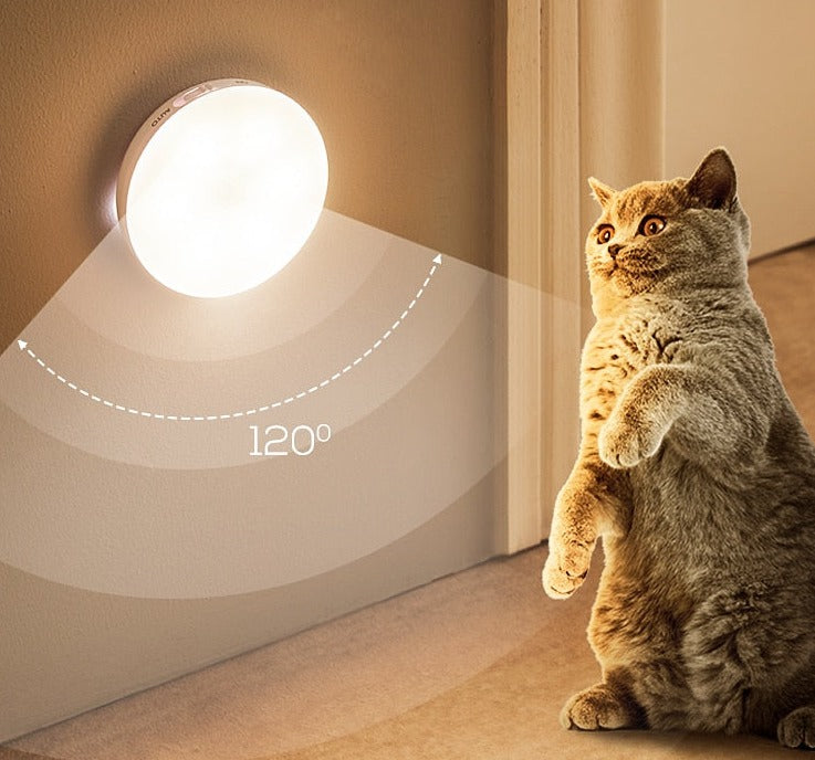 Luminária com Sensor de Movimento -