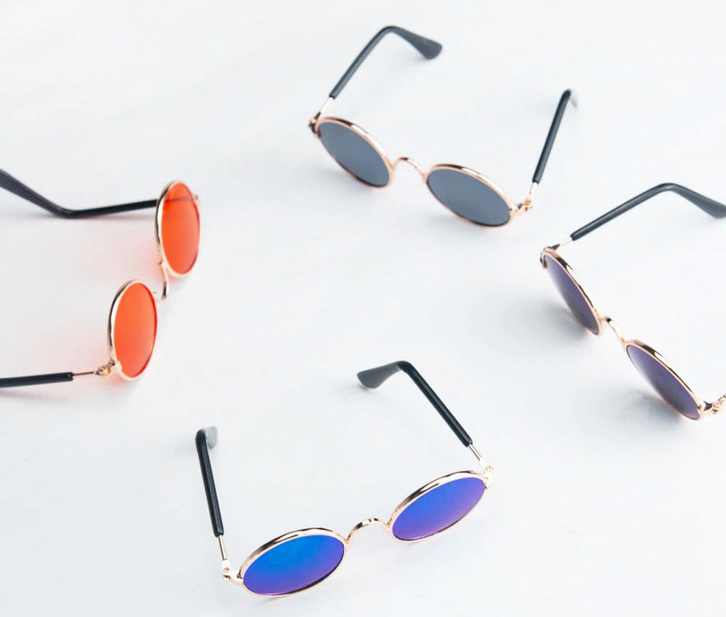 Óculos de Sol Para Cães e Gatos