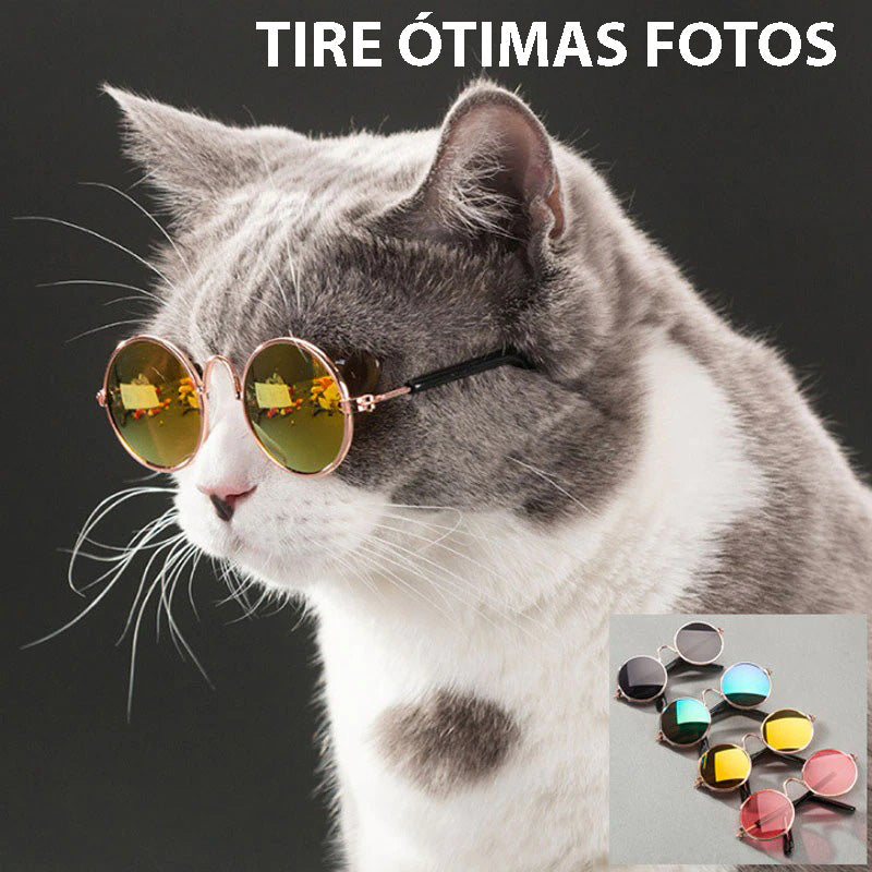 Óculos de Sol Para Cães e Gatos