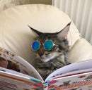 Óculos de Sol Para Cães e Gatos